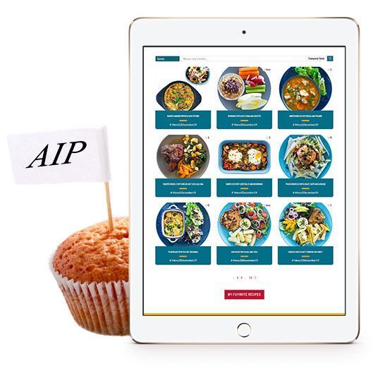icon-aip